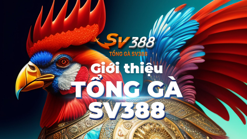 Đá gà – Bộ môn giải trí đặc sắc đình đám nhất tại SV388