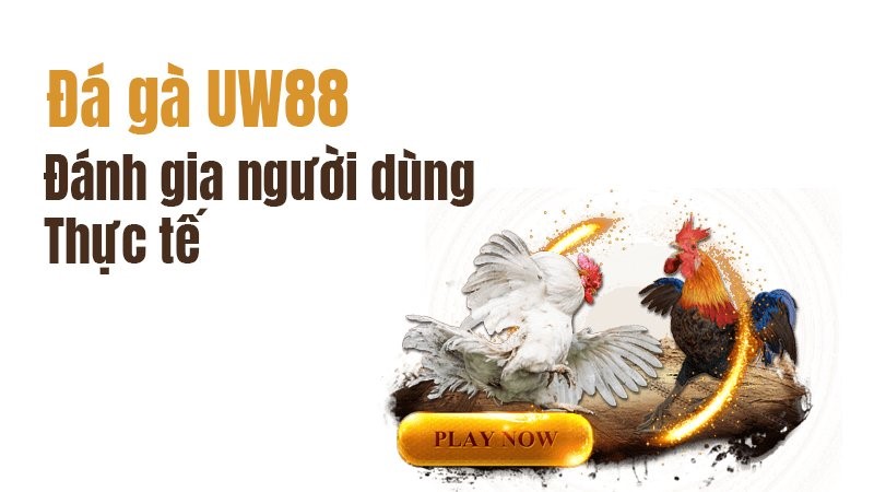 Đá gà trực tuyến ucw88