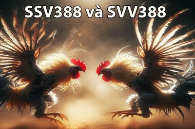 Giới thiệu về ssv388