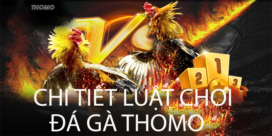 Sơ lược về luật chơi Đá gà Thomo trực tuyến cụ thể, chi tiết nhất