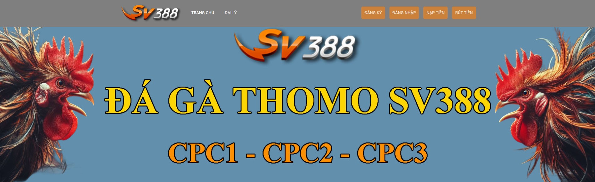 SV388 cung cấp các trận đấu đá gà trực tiếp