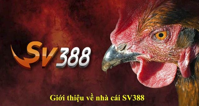 SV388 – Nơi mang đến cơ hội trở thành cược thủ chuyên nghiệp